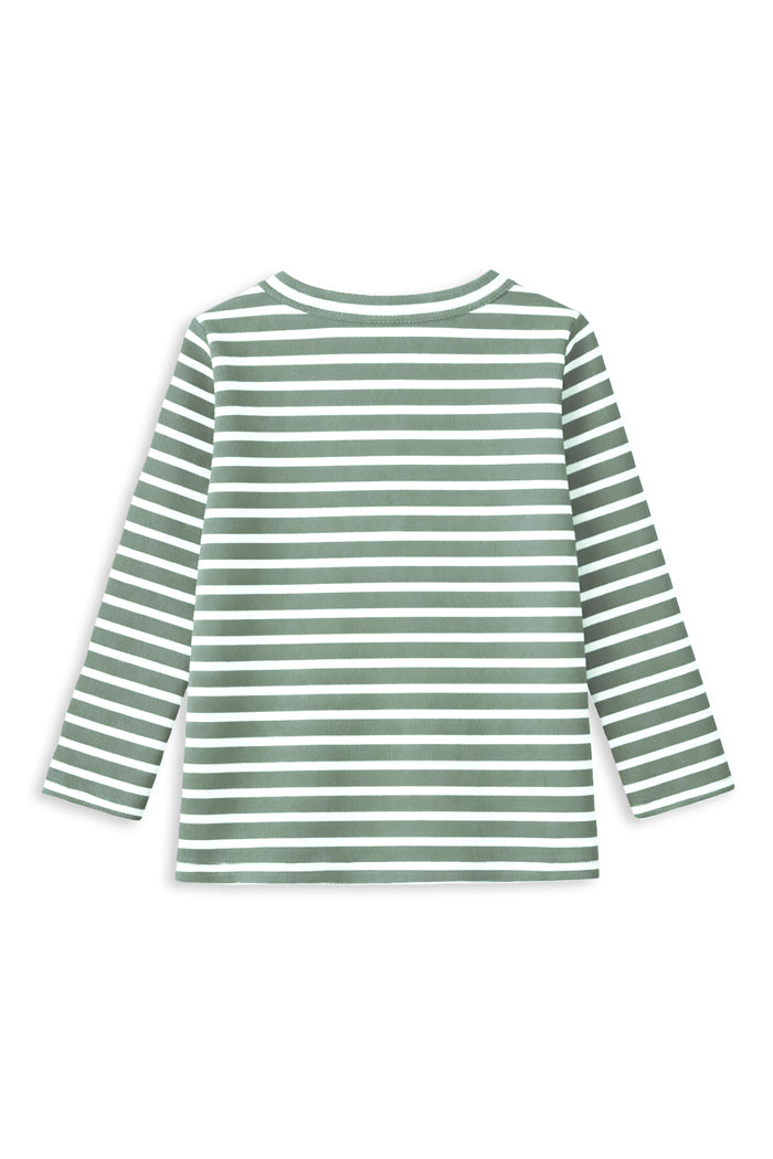 Fern Stripe Henley Tee