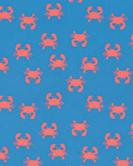 Sunhat Tide Mud Crabs