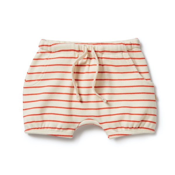 Bloomer Shorts | Petit Rouge