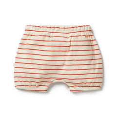 Bloomer Shorts | Petit Rouge