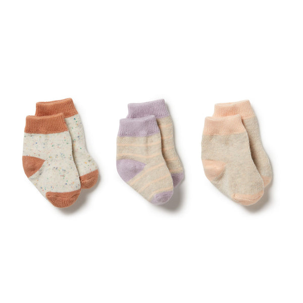 Organic 3 Pack Baby Socks | Cream Tan/Lilac Ash/Cameo Rose